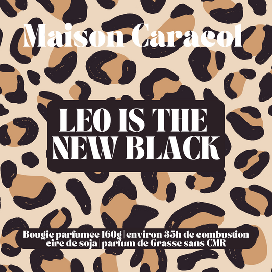 BOUGIE PARFUMÉE | ROCHER PRALINÉ - LEO IS THE NEW BLACK | 160g