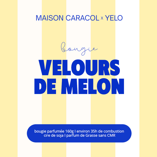 BOUGIE PARFUMÉE | VELOURS DE MELON | 160g